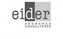 EIDER CONULTORES